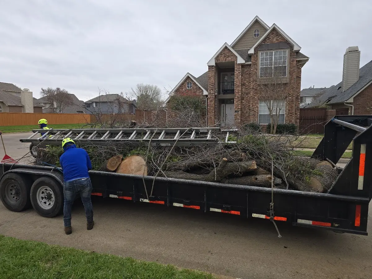 Expert Tree Removal with proper safety equipment in Buhl